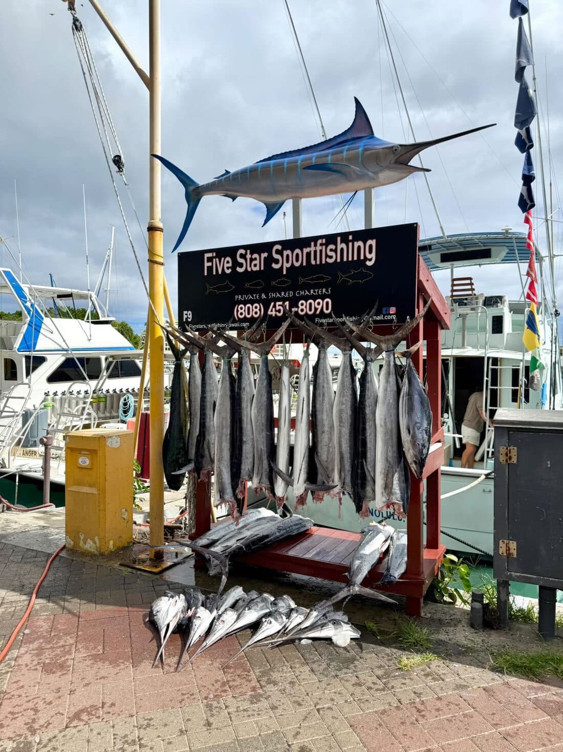 The day’s catch hanging on the rack at the Five Star slip